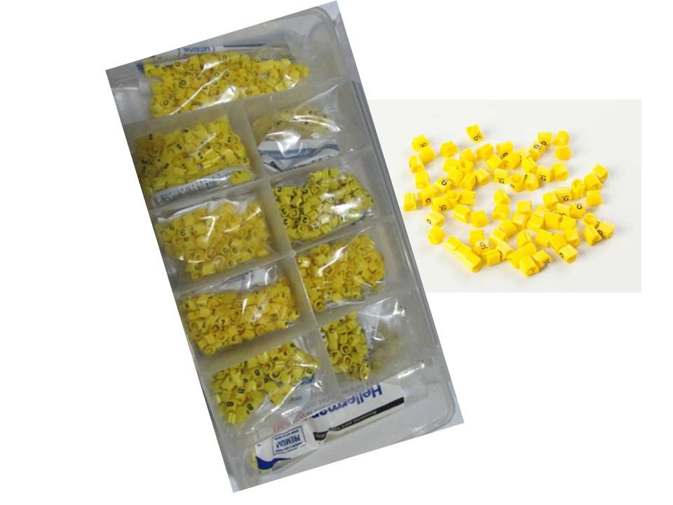 KIT-ANILHAS.jpg